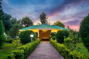 Tusk And Roar Resort Petfrindly Jungle Cottages