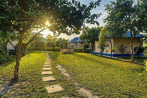 Tusk And Roar Resort Petfrindly Jungle Cottages