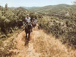 Lost Ridge Inn & Brewery & Ranch