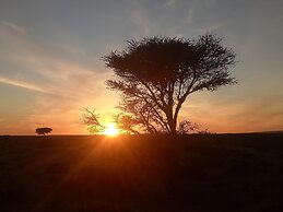 Sahara Peace camp