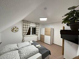 Rheinview Urbar Haus