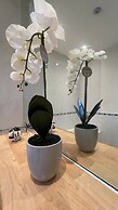 Modern Oasis / Central Location
