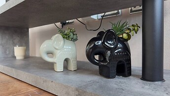 Modern Oasis / Central Location