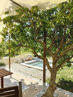AgriBarocco