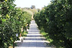 AgriBarocco