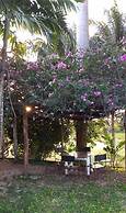 Posada Barahona