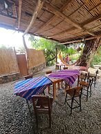 Andino Hostel