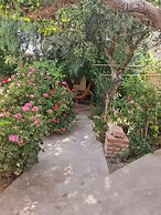 Andino Hostel