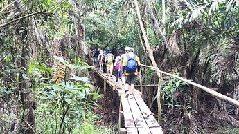Amazon Nativo Lodge