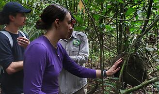 Amazon Nativo Lodge