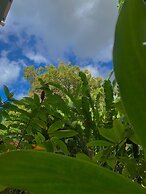 Le Petit Paradis