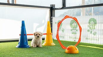 Gapyeong Daengdaengi Dog Pension Silver
