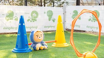 Gapyeong Daengdaengi Dog Pension Silver