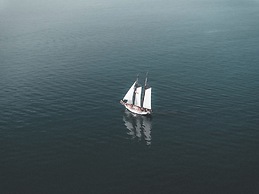 Cape of Senses