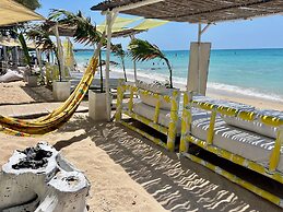 Mio Mio Beach
