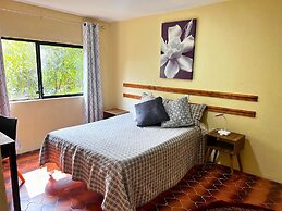 Discover Condesa