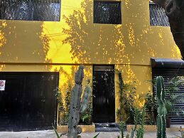 Discover Condesa