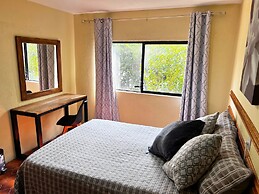 Discover Condesa