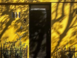 Discover Condesa