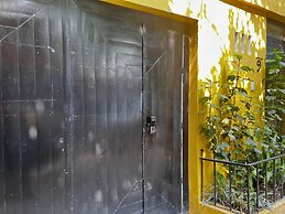 Discover Condesa