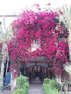 Riad with Outdoor Swimming Pools