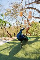 Epic Tamarindo Boutique Hotel