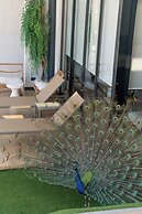 Epic Tamarindo Boutique Hotel