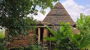 Paradise Eco Hub