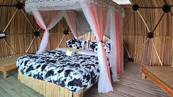 Paradise Eco Hub