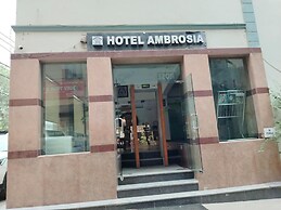 Ambrosia by Zenith