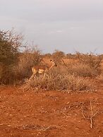 Caster JKIA Homes