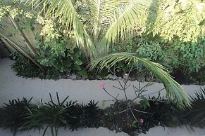 Jungla Bacalar