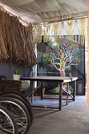 Jungla Bacalar