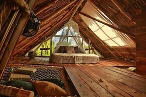 Jungla Bacalar