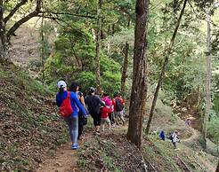 Macho Mora Mountain Lodge