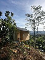 Midori Coffee Farm