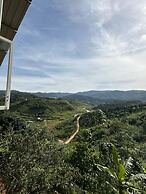 Midori Coffee Farm
