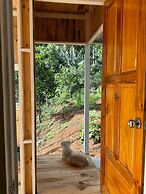 Midori Coffee Farm