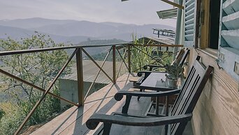 Midori Coffee Farm