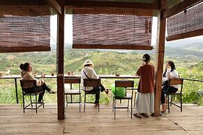 Midori Coffee Farm