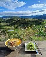 Midori Coffee Farm