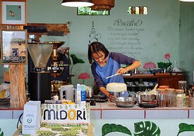 Midori Coffee Farm