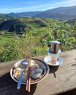 Midori Coffee Farm