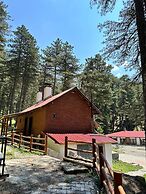 Doceia Otel