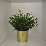 Élite Suite Home