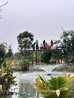 Check-in Resort
