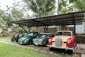 DAYA FARM AND ADVENTURE