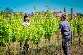 Wine & Apartment VINALES