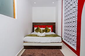 Saalak Lite Eliot Exotica