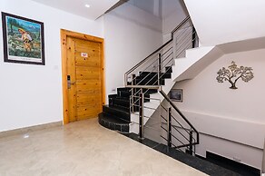 Saalak Lite Eliot Exotica